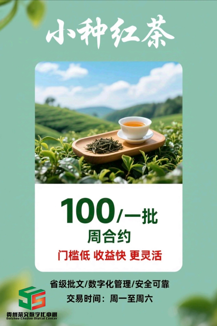 小种红茶